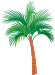 Zomervakantie palmboom